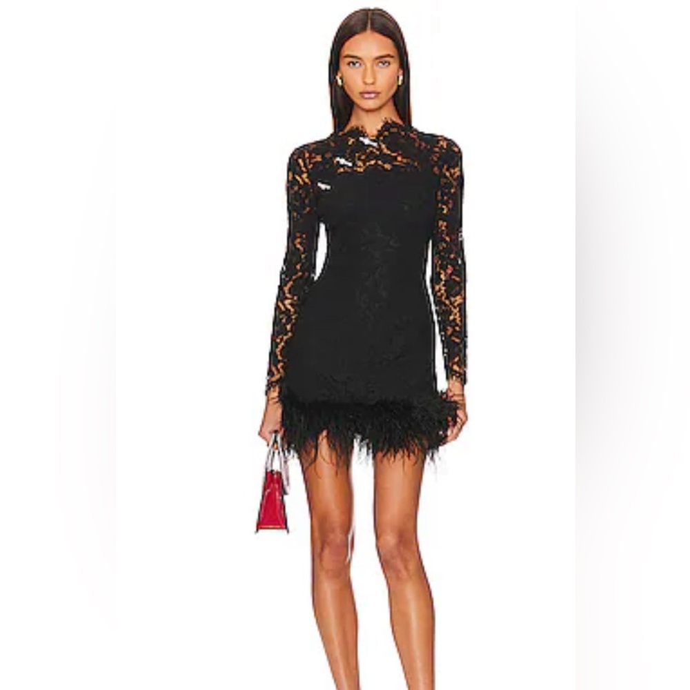 Sau Leeblack lace Mara feather mini dress
